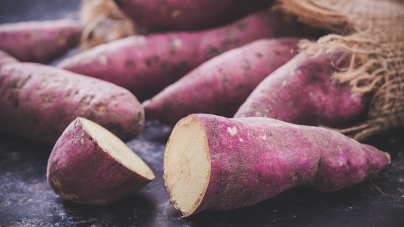 Sweet potatoes picture id849920794