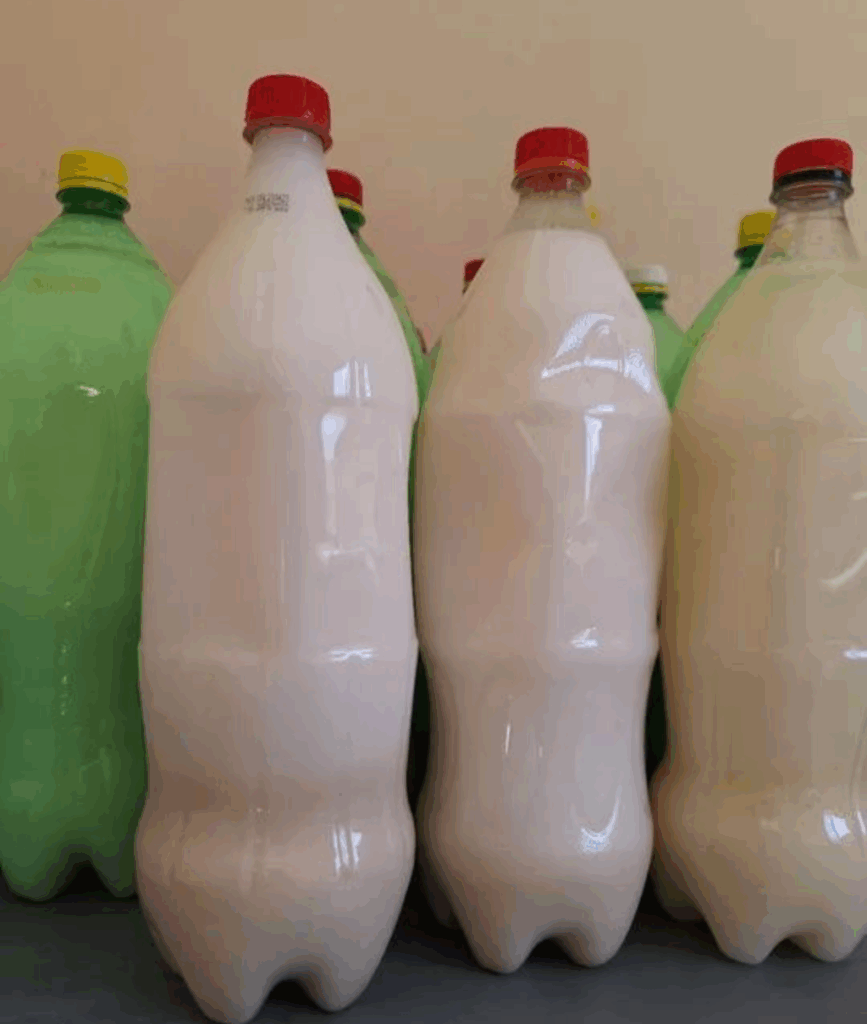 Banha de porco na quimioterapia: evidências científicas e cuidados nutricionais