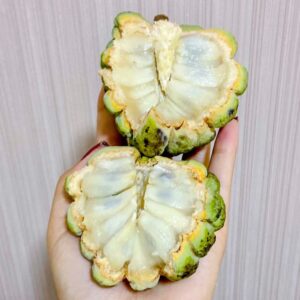 Pinha atemoia ata fruta do conde 300x300