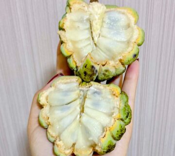 Pinha atemoia ata fruta do conde 360x320